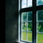 A serene view through a glass pane window of a lush green garden on a clear day.